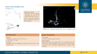 dasar dasar echocardiography dan aplikasi | PPTX
