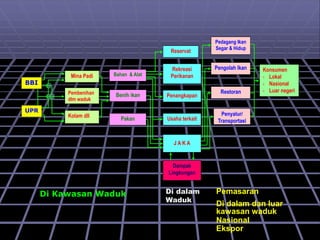 BBI
UPR
Mina Padi
Pembenihan
dlm waduk
Kolam dll
Bahan & Alat
Benih ikan
Pakan
Reservat
Rekreasi
Perikanan
Penangkapan
Usaha terkait
J A K A
Dampak
Lingkungan
Pedagang Ikan
Segar & Hidup
Pengolah Ikan
Restoran
Penyalur/
Transportasi
Konsumen
- Lokal
- Nasional
- Luar negeri
Di dalam
Waduk
Pemasaran
Di dalam dan luar
kawasan waduk
Nasional
Ekspor
Di Kawasan Waduk
 