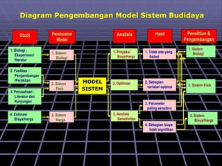 Studi Analisis Hasil Penelitian &
Pengembangan
1. Biologi :
Eksperimen/
literatur
2. Fasilitas :
Pengembangan
/Perakitan
3. Perusahaan :
Literatur dan
Kunjungan
1. Sistem
Biologi
2. Sistem
Fisik
2. Sistem
Harga
MODEL
SISTEM
1. Proyeksi
Biaya/Harga
2. Optimasi
1. Tidak ada yang
fisibel
2. Sebagian
variabel optimal
3. Parameter
paling sensitive
1. Sistem
Biologi
2. Sistem Fisik
3. Sistem
Biaya/Harga
3. Analisis
Sensitivitas
4. Sebagian biaya
tidak signifikan
Pembuatan
Model
Diagram Pengembangan Model Sistem Budidaya
4. Estimasi
Biaya/Harga
 