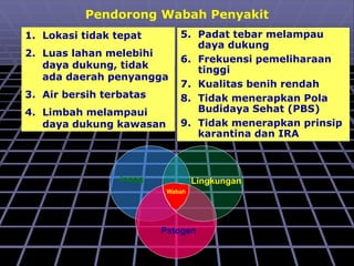 Pendorong Wabah Penyakit
1. Lokasi tidak tepat
2. Luas lahan melebihi
daya dukung, tidak
ada daerah penyangga
3. Air bersih terbatas
4. Limbah melampaui
daya dukung kawasan
5. Padat tebar melampau
daya dukung
6. Frekuensi pemeliharaan
tinggi
7. Kualitas benih rendah
8. Tidak menerapkan Pola
Budidaya Sehat (PBS)
9. Tidak menerapkan prinsip
karantina dan IRA
Lingkungan
Patogen
Inang
Wabah
 