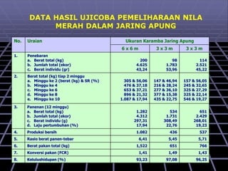 No. Uraian Ukuran Karamba Jaring Apung
6 x 6 m 3 x 3 m 3 x 3 m
1. Penebaran
a. Berat total (kg)
b. Jumlah total (ekor)
c. Berat individu (gr)
200
4.625
43,24
98
1.783
53,96
114
2.521
45,22
2. Berat total (kg) tiap 2 minggu
a. Minggu ke 2 (berat (kg) & SR (%)
b. Minggu ke 4
c. Minggu ke 6
d. Minggu ke 8
e. Minggu ke 10
305 & 56,06
476 & 37,18
653 & 37,21
896 & 21,32
1.087 & 17,94
147 & 46,94
216 & 28,24
277 & 36,10
377 & 15,38
435 & 22,75
157 & 56,05
245 & 32,65
325 & 27,29
325 & 22,14
546 & 19,27
DATA HASIL UJICOBA PEMELIHARAAN NILA
MERAH DALAM JARING APUNG
3. Panenan (12 minggu)
a. Berat total (kg)
b. Jumlah total (ekor)
c. Berat individu (g)
d. Laju pertumbuhan (%)
1.282
4.312
297,31
17,94
534
1.731
308,49
22,76
651
2.429
268,01
19,23
4. Produksi bersih 1.082 436 537
5. Rasio berat panen-tebar 6,41 5,45 5,71
6. Berat pakan total (kg) 1,522 651 766
7. Konversi pakan (FCR) 1,41 1,49 1,43
8. Kelulushidupan (%) 93,23 97,08 96,25
 