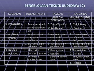 PENGELOLAAN TEKNIK BUDIDAYA (2)
KEGIATAN KOLAM TANAH TAMBAK,
KOLAM
PERMANEN
KARAMBA
JARING APUNG
3. PENGAIRAN 1.Mempertahank
an kedalaman
air
1.Tetap/Ganti air
2.Kualitas air
1. Cek lubang
2. Kualitas air
4. PUPUK &
PAKAN
1. Pupuk susulan
dan pakan
tambahan
2. Sampling & SR
pertumbuhan
1.Pakan buatan:
ransum &
frekuensi
2.Sampling & SR
pertumbuhan
1. Pakan buatan:
ransum &
frekuensi
2. Sampling SR &
pertumbuhan
5. HAMA &
PENYAKIT
1. Ular, belut,
burung, lingsang
2. Plankton &
tumbuhan air
1.Pencegahan
2.Cek dini
penyakit bakteri,
virus
1. Pencegahan
2. Cek dini
penyakit bakteri,
virus
3. Pencuri
 