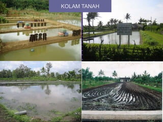 KOLAM TANAH
 