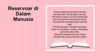 Artinya kelompok penyakit menular
dijumpai lebih sering pada manusia.
Penyakit ini pada umumnya berpindah
dari manusia ke manusia dan hanya
menimbulkan penyakit pada manusia
saja.
Contoh penyakit: campak (measles),
cacar air (smallpox), typhus, meningitis,
gonorrhea dan sifilis.
Manusia sebagai reservoar dapat
menjadi kasus yang aktif dan carrier
Reservoar di
Dalam
Manusia
 