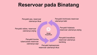 Reservoar pada Binatang
Simple
PowerPoint
Penyakit trichinosis reservoar
utamanya babi
Penyakit pes, reservoar
utamanya tikus
Penyakit rabies, reservoar
utamanya anjing
Penyakit hidatosis
reservoar utamanya anjing
Penyakit bovine
tuberculosis reservoar
utamanya sapi
Penyakit bracellosis
reservoar utamanya
kambing
Penyakit leptospirosis
reservoar utamanya tikus
 