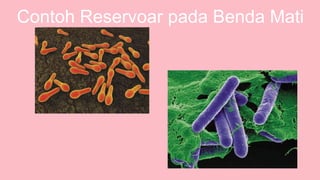 Contoh Reservoar pada Benda Mati
 