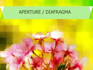 APERTURE / DIAFRAGMA
 