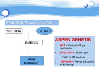 SEJARAH Pewarisan sifat: SPERMA Sel telur EMBRIO Anak Keturunan ASPEK GENETIK : APA  materi genetik yg diwariskan BAGAIMANA . Materi gen Pindah dr OT ke Anak 3.  MENGAPA : Proses (ekspresi) sifat Fenotip 