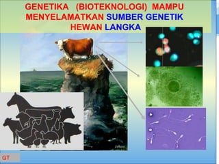 GENETIKA  (BIOTEKNOLOGI)  MAMPU  MENYELAMATKAN  SUMBER GENETIK   HEWAN  LANGKA GT 