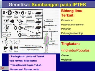 Genetika : Sumbangan pada IPTEK GT Bidang Ilmu Terkait: Kedokteran Peternakan/Veteriner Pertanian Psikologi/antropologi Tingkatan: Individu/Populasi Seluler Molekuler . Peningkatan produksi Ternak Bio farmasi-kedokteran Transplantasi Organ Tubuh Konservasi Plasma nutfat 