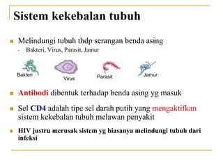 Sistem kekebalan tubuh
 Melindungi tubuh thdp serangan benda asing
• Bakteri, Virus, Parasit, Jamur
 Antibodi dibentuk terhadap benda asing yg masuk
 Sel CD4 adalah tipe sel darah putih yang mengaktifkan
sistem kekebalan tubuh melawan penyakit
 HIV justru merusak sistem yg biasanya melindungi tubuh dari
infeksi
Bakteri
Virus Parasit Jamur
 