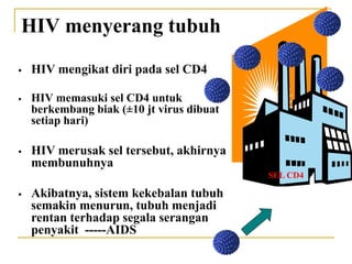 HIV menyerang tubuh
SEL CD4
 HIV mengikat diri pada sel CD4
 HIV memasuki sel CD4 untuk
berkembang biak (±10 jt virus dibuat
setiap hari)
 HIV merusak sel tersebut, akhirnya
membunuhnya
 Akibatnya, sistem kekebalan tubuh
semakin menurun, tubuh menjadi
rentan terhadap segala serangan
penyakit -----AIDS
 