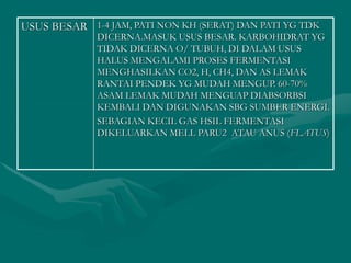 USUS BESAR 1-4 JAM, PATI NON KH (SERAT) DAN PATI YG TDK
DICERNA.MASUK USUS BESAR. KARBOHIDRAT YG
TIDAK DICERNA O/ TUBUH, DI DALAM USUS
HALUS MENGALAMI PROSES FERMENTASI
MENGHASILKAN CO2, H, CH4, DAN AS LEMAK
RANTAI PENDEK YG MUDAH MENGUP. 60-70%
ASAM LEMAK MUDAH MENGUAP DIABSORBSI
KEMBALI DAN DIGUNAKAN SBG SUMBER ENERGI.
SEBAGIAN KECIL GAS HSIL FERMENTASI
DIKELUARKAN MELL PARU2 ATAU ANUS (FLATUS)
 