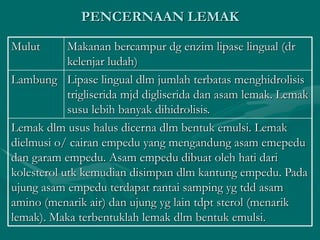PENCERNAAN LEMAK
Mulut Makanan bercampur dg enzim lipase lingual (dr
kelenjar ludah)
Lambung Lipase lingual dlm jumlah terbatas menghidrolisis
trigliserida mjd digliserida dan asam lemak. Lemak
susu lebih banyak dihidrolisis.
Lemak dlm usus halus dicerna dlm bentuk emulsi. Lemak
dielmusi o/ cairan empedu yang mengandung asam emepedu
dan garam empedu. Asam empedu dibuat oleh hati dari
kolesterol utk kemudian disimpan dlm kantung empedu. Pada
ujung asam empedu terdapat rantai samping yg tdd asam
amino (menarik air) dan ujung yg lain tdpt sterol (menarik
lemak). Maka terbentuklah lemak dlm bentuk emulsi.
 