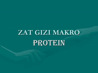 ZAT GIZI MAKRO
PROTEIN
 