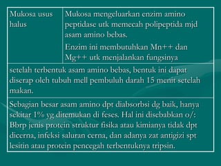 Mukosa usus
halus
Mukosa mengeluarkan enzim amino
peptidase utk memecah polipeptida mjd
asam amino bebas.
Enzim ini membutuhkan Mn++ dan
Mg++ utk menjalankan fungsinya
setelah terbentuk asam amino bebas, bentuk ini dapat
diserap oleh tubuh mell pembuluh darah 15 menit setelah
makan.
Sebagian besar asam amino dpt diabsorbsi dg baik, hanya
sekitar 1% yg ditemukan di feses. Hal ini disebabkan o/:
Bbrp jenis protein struktur fisika atau kimianya tidak dpt
dicerna, infeksi saluran cerna, dan adanya zat antigizi spt
lesitin atau protein pencegah terbentuknya tripsin.
 