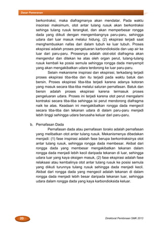 20 Direktorat Pembinaan SMK 2013
Dasar Pemeranan
berkontraksi, maka diafragmanya akan mendatar. Pada waktu
insoirasi maksimum, otot antar tulang rusuk akan berkontraksi
sehinga tulang rusuk terangkat, dan akan memperbesar rongga
dada yang diikuti dengan mengembangnya paru-paru, sehingga
udara dari luar masuk melalui hidung, (2) ekspirasi terjadi saat
menghembuskan nafas dari dalam tubuh ke luar tubuh. Proses
ekspirasi adalah proses pengeluaran karbondioksida dan uap air ke
luar dari paru-paru. Prosesnya adalah otot-otot diafragma akan
mengendur dan ditekan ke atas oleh organ perut, tulang-tulang
rusuk kembali ke posisi semula sehingga rongga dada menyempit
yang akan mengakibatkan udara terdorong ke luar paru-paru.
Selain mekanisme inspirasi dan ekspirasi, terkadang terjadi
proses ekspirasi tiba-tiba dan itu terjadi pada waktu batuk dan
bersin. Proses ekspirasi tiba-tiba terjadi karena adanya kotoran
yang masuk secara tiba-tiba melalui saluran pernafasan. Batuk dan
bersin adalah proses ekspirasi karena termasuk proses
pengeluaran udara. Proses ini terjadi karena otot perut mengalami
kontraksi secara tiba-tiba sehingga isi perut mendorong diafragma
naik ke atas. Keadaan ini mengakibatkan rongga dada mengecil
secara tiba-tiba dan tekanan udara di dalam paru-paru menjadi
lebih tinggi sehingga udara berusaha keluar dari paru-paru.
b. Pernafasan Dada
Pernafasan dada atau pernafasan toraks adalah pernafasan
yang melibatkan otot antar tulang rusuk. Mekanismenya dibedakan
menjadi: (1) fase inspirasi adalah fase berupa berkontraksinya otot
antar tulang rusuk, sehingga rongga dada membesar. Akibat dari
rongga dada yang membesar mengakibatkan tekanan dalam
rongga dada menjadi lebih kecil daripada tekanan di luar, sehingga
udara luar yang kaya oksigen masuk, (2) fase ekspirasi adalah fase
relaksasi atau kembalinya otot antar tulang rusuk ke posisi semula
yang diikuti turunnya tulang rusuk sehingga dada menjadi kecil.
Akibat dari rongga dada yang mengecil adalah tekanan di dalam
rongga dada menjadi lebih besar daripada tekanan luar, sehingga
udara dalam rongga dada yang kaya karbondioksida keluar.
 