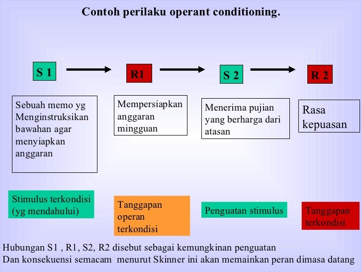 Dasar perilaku individual Dasar perilaku individual