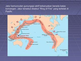 Jalur kemunculan gunungapi aktif kebanyakan berada batas
konvergen. Jalur tersebut disebut “Ring of Fire” yang terletak di
Pasific
 
