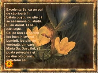 Excelenţa Sa, ca un pui
de căprioară în
bătaia puştii, nu ştie că
se aseamănă cu sfinţii.
Ei au dăruit. El se
dăruieşte.
Cel de Sus i-a hărăzit
loc înalt în izvorul
Luminii, loc plin de
verdeaţă, din care
Măria Sa, Dascălul, să
poată priveghea şi
de dincolo pruncii
sufletului său.
 