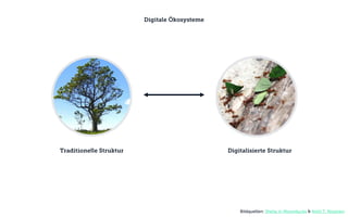 Traditionelle Struktur
Digitale Ökosysteme
Digitalisierte Struktur
Bildquellen: Sheila in Moonducks & Antti T. Nissinen
 