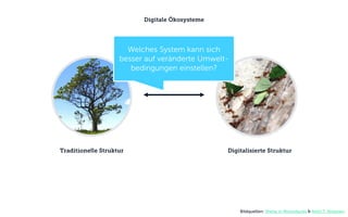 Digitale Ökosysteme
Welches System kann sich
besser auf veränderte Umwelt-
bedingungen einstellen?
Traditionelle Struktur Digitalisierte Struktur
Bildquellen: Sheila in Moonducks & Antti T. Nissinen
 