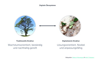 Traditionelle Struktur
Wachstumsorientiert, beständig
und nachhaltig gereift
Digitale Ökosysteme
Digitalisierte Struktur
Lösungsorientiert, flexibel
und anpassungsfähig
Bildquellen: Sheila in Moonducks & Antti T. Nissinen
 