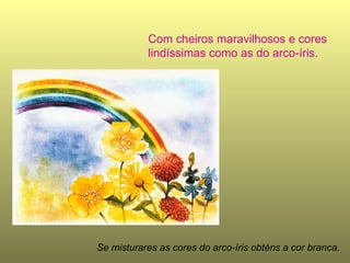 Com cheiros maravilhosos e cores lindíssimas como as do arco-íris. Se misturares as cores do arco-íris obténs a cor branca.