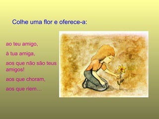 Colhe uma flor e oferece-a: ao teu amigo, à tua amiga, aos que não são teus amigos! aos que choram, aos que riem…