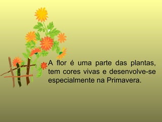 A flor é uma parte das plantas, tem cores vivas e desenvolve-se especialmente na Primavera.
