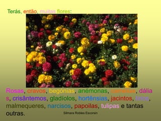 Terás, então,muitasflores:Rosas, cravos, begónias, anémonas, camélias, dálias, crisântemos, gladíolos, hortênsias, jacintos, lírios, malmequeres, narcisos, papoilas, tulipas e tantas outras.Silmara Robles Escorsin