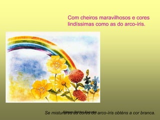Com cheiros maravilhosos e cores lindíssimas como as do arco-íris.Se misturares as cores do arco-íris obténs a cor branca.Silmara Robles Escorsin