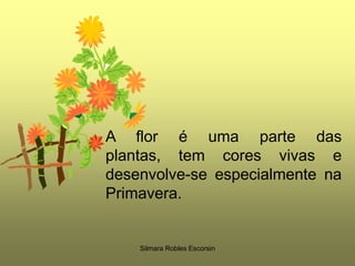 A flor é uma parte das plantas, tem cores vivas e desenvolve-se especialmente na Primavera.Silmara Robles Escorsin