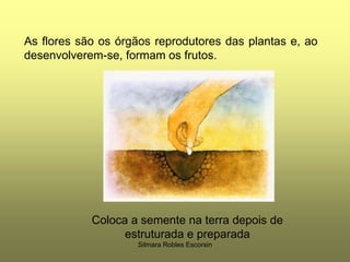 As flores são os órgãos reprodutores das plantas e, ao desenvolverem-se, formam os frutos.Coloca a semente na terra depois de estruturada e preparadaSilmara Robles Escorsin