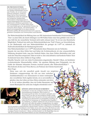 Harun Yahya 11
Die Wahrscheinlichkeit der Bildung eines aus 500 Aminosäuren bestehenden Proteinmoleküls ist
"Eins" zu einer Zahl, die durch Anhängen von 950 Nullen hinter einer Eins gebildet wird. Das ist
eine Zahl die der menschliche Verstand nicht mehr erfassen kann.5 Es ist nur eine theoretische
Möglichkeit. Praktisch hat solch eine Wahrscheinlichkeit eine "Null"-Chance zur Verwirklichung.
In der Mathematik wird eine Wahrscheinlichkeit die geringer als 1:1050 ist, statistisch als
Nullwahrscheinlichkeit der Realisierung bewertet.
Eine Wahrscheinlichkeit von 1:10950 überschreitet diese Dimension um ein Vielfaches.
Jemand, der nun diese Zeilen liest und bisher die Evolutionstheorie als eine wissenschaftliche
Erklärung akzeptiert hatte, mag den Verdacht haben, dass diese Zahlen übertrieben sind, und
nicht den Tatsachen entsprechen. Dem ist nicht so: dies sind definitive und konkrete Fakten. Kein
Evolutionist kann diese Zahlen in Frage stellen.
Dieselbe Tatsache wird von vielen Evolutionisten eingestanden. Harold F. Blum, ein berühmter
evolutionistischer Wissenschaftler erklärt, "die spontane Bildung eines Polypeptids von der
Größe des kleinsten bekannten Proteins erscheint jenseits aller Wahrscheinlichkeit".6
Was bedeutet all dies nun? Perry Reeves, ein Professor der Chemie beantwortet
diese Frage:
Wenn man sich die unendlich große Anzahl von möglichen
Strukturen vergegenwärtigt, die sich aus einer einfachen
Zufallskombination von Aminosäuren in einem verdampfen-
den vorzeitlichen Teich ergeben könnte, ist es unvorstellbar zu
glauben, dass das Leben auf diese Weise entstanden sein könn-
te. Es ist weitaus plausibler, dass ein Großer Baumeister mit
einem Musterplan für solch eine Aufgabe erforderlich wäre.7
KÖNNEN AFFEN EIN BUCH SCHREIBEN?
Cytochrom C ist eines der wichtigsten Proteine, die die
Sauerstoffatmung ermöglichen. Seine Existenz ist
Voraussetzung für das Leben. Es ist jedoch unmöglich, dass
dieses Protein, das über ein sehr komplexes Design verfügt,
zufällig entsteht. In der Tat macht es sich die materialistische
Ausrichtung der Wissenschaft zur prinzipiellen Grundlage, das
Leben durch die Verneinung von "metaphysischen Eingriffen",
d.h. Schöpfung, zu erklären. Sobald man sich auf diesen Grundsatz
stellt, kann man selbst die größten Unmöglichkeiten als möglich
akzeptieren. Man kann Beispiele dieser dogmatischen Einstellung in
fast der gesamten evolutionistischen Literatur finden. Professor Ali Demirsoy, ein bekannter
Verfechter der Evolutionstheorie in der Türkei, ist nur einer von vielen. Wie bereits an ande-
rer Stelle erwähnt, ist, nach Demirsoy, die Möglichkeit der zufälligen Bildung des lebensnot-
wendigen Proteins Cytochrom C, "ebenso unwahrscheinlich wie die Möglichkeit, dass ein
Affe die Geschichte der Menschheit fehlerlos auf einer Schreibmaschine tippt"8
DIE PROTEINSYNTHESE
In unseren Körperzellen findet ein
sich ständig wiederholender Prozess
statt: Proteine, die wir mit unserer
Nahrung aufnehmen, werden im
Magen und im Darm fermentiert.
Anschließend werden die entstande-
nen biologischen Spaltprodukte
(Aminosäuren) entsprechend dem in
unserer körpereigenen DNS (Desoxyribo-
nukleinsäure) enthaltenen genetischen Code
neu zusammengesetzt. Auf diese Weise produ-
ziert unser Körper genau die spezifischen Proteine, die
er braucht. Dieser Vorgang - die Proteinsynthese - ist
jedoch weit komplizierter, als in dieser einfachen
Illustration sichtbar. Bis heute konnte kein noch so gut aus-
gestattetes Chemielabor eine Proteinsynthese nachvollziehen.
Cytochrom C
Protein
Zellkern
Boten-RNS
Ribosom
Spezielle Enzyme
von Enzymen gebogene
Protein-Kette
Entstehungs-
prozess einer
Protein-Kette
Wiederaufbereitung
der Protein-Kette
endgültige Form
des Proteins
 
