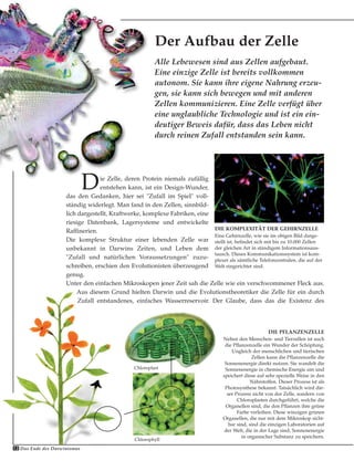 Die Zelle, deren Protein niemals zufällig
entstehen kann, ist ein Design-Wunder,
das den Gedanken, hier sei "Zufall im Spiel" voll-
ständig widerlegt. Man fand in den Zellen, sinnbild-
lich dargestellt, Kraftwerke, komplexe Fabriken, eine
riesige Datenbank, Lagersysteme und entwickelte
Raffinerien.
Die komplexe Struktur einer lebenden Zelle war
unbekannt in Darwins Zeiten, und Leben dem
"Zufall und natürlichen Voraussetzungen" zuzu-
schreiben, erschien den Evolutionisten überzeugend
genug.
Unter den einfachen Mikroskopen jener Zeit sah die Zelle wie ein verschwommener Fleck aus.
Aus diesem Grund hielten Darwin und die Evolutionstheoretiker die Zelle für ein durch
Zufall entstandenes, einfaches Wasserreservoir. Der Glaube, dass das die Existenz des
Alle Lebewesen sind aus Zellen aufgebaut.
Eine einzige Zelle ist bereits vollkommen
autonom. Sie kann ihre eigene Nahrung erzeu-
gen, sie kann sich bewegen und mit anderen
Zellen kommunizieren. Eine Zelle verfügt über
eine unglaubliche Technologie und ist ein ein-
deutiger Beweis dafür, dass das Leben nicht
durch reinen Zufall entstanden sein kann.
Der Aufbau der Zelle
DIE PFLANZENZELLE
Neben den Menschen- und Tierzellen ist auch
die Pflanzenzelle ein Wunder der Schöpfung.
Ungleich der menschlichen und tierischen
Zellen kann die Pflanzenzelle die
Sonnenenergie direkt nutzen. Sie wandelt die
Sonnenenergie in chemische Energie um und
speichert diese auf sehr spezielle Weise in den
Nährstoffen. Dieser Prozess ist als
Photosynthese bekannt. Tatsächlich wird die-
ser Prozess nicht von der Zelle, sondern von
Chloroplasten durchgeführt, welche die
Organellen sind, die den Pflanzen ihre grüne
Farbe verleihen. Diese winzigen grünen
Organellen, die nur mit dem Mikroskop sicht-
bar sind, sind die einzigen Laboratorien auf
der Welt, die in der Lage sind, Sonnenenergie
in organischer Substanz zu speichern.
DIE KOMPLEXITÄT DER GEHIRNZELLE
Eine Gehirnzelle, wie sie im obigen Bild darge-
stellt ist, befindet sich mit bis zu 10.000 Zellen
der gleichen Art in ständigem Informationsaus-
tausch. Dieses Kommunikationssystem ist kom-
plexer als sämtliche Telefonzentralen, die auf der
Welt eingerichtet sind.
Chloroplast
Chlorophyll
12 Das Ende des Darwinismus
 