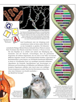 hend konditioniert sind, die Schöpfung nicht
anzuerkennen, haben sie keine andere Wahl als
an das Unmögliche zu glauben. Ein bekannter
australischer Biologe, Michael Denton, behandelt dieses Thema in seinem
Buch "Evolution: Eine Theorie in der Krise" [Evolution: A Theory in Crisis]:
Für den Skeptiker ist es schlicht und einfach eine Beleidigung des
Verstandes und der Vernunft, vorzuschlagen, dass die genetischen
Programme der höheren Organismen, die aus einer in der Nähe von tausend
Millionen liegenden Anzahl von Informationsdaten bestehen, (äquivalent der
Buchstabenfolge in einer kleinen, aus 100 Bänden bestehenden Bibliothek),
in denen in verschlüsselter Form von unzähligen tausenden raffinierter
Algorithmen die Kontrolle, Spezifikationen und Anweisungen zu
Wachstum und Entwicklung von Milliarden und Milliarden Zellen in
komplexe Organismen enthalten sind, durch einen rein zufälligen
Prozess komponiert wurden. Doch für den Darwinisten ist diese Idee
ohne einen Schimmer von Zweifel annehmbar –
das Modell hat Vorrang!11
DIE INFORMATION IN DER SPIRALE
Das Molekül DNS besteht aus Millionen von spiralförmigen
Stufen. Wenn das Molekül DNS in unserer einzigen Zelle sich
ausstreckt, bildet es eine Kette von einem Meter. Aber diese
Kette wurde mit einem außerordentlichen Verpackungs-
system im Zellenkern zusammengedrückt, der eine Größe
von einem Hunderttausendstel des Millimeters hat.
Die biochemische
Struktur, Dicke und
Farbe der Haare eines
Wolfs sind in seiner
DNS eingetragen.
T
G
Die DNS hat ein
Alphabet von 4
"Buchstaben". A
15Harun Yahya
C
Die gesamte Information über jedes
Lebewesen ist im DNS Molekül gespei-
chert. Diese unglaublich effektive
Informationsspeicherungsmethode
allein ist ein klarer Beweis, dass das
Leben nicht durch Zufall zustande kam,
sondern zweckbestimmt entworfen
wurde, oder besser gesagt, auf wunder-
bare Weise erschaffen wurde.
 