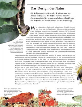 Wir wollen diesen Sachverhalt anhand eines Beispiels betrach-
ten. Wenn man als Gleichnis der Zelle ein mit aller technologi-
schen Raffinesse ausgestattetes Automobil annimmt, in Wirklichkeit
besteht eine Zelle aus einem weitaus komplizierteren und raffinierteren
System als ein Auto mit seinem Motor und allem technischen Zubehör,
was würde man denken, wenn man auf einer Wanderung im Dickicht eines
verwilderten Waldes ein neues Automodell zwischen den Bäumen entdeckte?
Würde man annehmen, dass sich die im Wald befindlichen Dinge spontan im
Lauf von Millionen von Jahren zusammenfanden und solch ein Fahrzeug
erzeugten? Alle Rohmaterialien, aus denen das Auto besteht, sind aus
Bodenschätzen oder Nebenprodukten der Erde, wie Eisen, Glas, Plastik und
Gummi gewonnen, doch würde diese Tatsache zu der Annahme führen, dass
sich diese Materialien "zufällig" synthetisiert und zusammengefunden haben
und solch ein Fahrzeug herstellten?
Zweifelsohne würde jedermann, der bei gesundem Verstand ist, wissen, dass der Wagen das
Ergebnis eines bewusst gestalteten Designs, ein Fabrikerzeugnis ist, und würde sich wundern
was er hier inmitten der Wildnis zu tun habe. Die plötzliche Entstehung einer komplexen
Struktur in vollendeter Form aus heiterem Himmel zeigt, dass sie durch einen bewusst han-
delnden Akteur geschaffen wurde. Ein komplexes System wie die Zelle wurde zweifellos durch
höheren Willen und Weisheit geschaffen. Es kam als Schöpfung Gottes ins Dasein.
Folglich ist es ganz offensichtlich, dass alle Lebewesen Produkte eines überlegenen
"Designs" sind. Das heißt: alle Lebewesen wurden ohne jeden Zweifel von Allah erschaffen.
Mit ihrem Glauben, dass reiner Zufall vollendetes Design hervorbringen könne, über-
schreiten die Evolutionisten die Grenzen von Vernunft und Wissenschaft. Eine der freimüti-
gen Autoritäten zu diesem Thema ist der berühmte französische Zoologe Pierre Grassé, der
vormalige Präsident der französischen Akademie der Wissenschaften. Grassé, der zwar ein
Materialist ist, erkannte dennoch an, dass die darwinistische Theorie nicht imstande ist, das
Leben zu erklären, und äußerte sich folgendermaßen betreffs der Logik des "Zufalls", welche das
Rückgrat des Darwinismus darstellt:
Die Vollkommenheit lebender Strukturen ist der
Beweis dafür, dass der Zufall niemals an ihrer
Entstehung beteiligt gewesen sein kann. Das Design
der Natur ist ein klarer Beweis für die Schöpfung.
Das Design der Natur
1 2
Dieser Fisch ist mit einem höchst
ungewöhnlichen Mechanismus
zum Beutefang ausgestattet. Unter
normalen Umständen ist
nichts davon zu
sehen.
Wenn der Köderfisch sein Opfer
erkannt hat, zeigt er ihm seine
Rückenflosse. Diese Rückenflosse
ist bis ins Detail die exakte
Imitation eines kleineren Fisches.
Dies ist
nicht etwa der
Kopf einer Schlange,
sondern das Hinterteil einer
Raupe! Bei Gefahr vergrößert
die Raupe ihr Hinterteil, um
das Vorhandensein einer
Schlange vorzutäuschen; auf
diese Weise schüchtert sie
potentielle Angreifer ein.
 