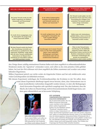 19Harun Yahya
den. Einige dieser zufällig entstandenen Proteine ließen sich dann angeblich in zellmembranähnlichen
Strukturen nieder, die "irgendwie" entstanden waren, und sollen so die erste primitive Zelle gebildet
haben. Im Lauf der Zeit schlossen sich dann angeblich die Zellen zusammen und wurden zum ersten
lebenden Organismus.
Millers Experiment jedoch war nichts weiter als trügerischer Schein und hat sich mittlerweile unter
vielen Gesichtspunkten als fehlerhaft erwiesen.
Mit diesem Experiment widerlegen die Evolutionstheoretiker die Evolution in der Tat selbst, denn
wenn dieses Experiment überhaupt irgend etwas beweist, dann, dass Aminosäuren nur in
einem kontrollierten Labormilieu hergestellt werden können, in dem alle Bedingungen
durch bewusstes Eingreifen sehr spezifisch ausgelegt sind. Das aber bedeutet, dass die
Macht, die Leben ins Dasein bringt, nicht in bewusstseinslosem Zufall liegen kann, son-
dern ganz offensichtlich nur in bewusster Schöpfung.
EIN ANDERER
VERZWEIFELTER VERSUCH:
DAS FOX EXPERIMENT
Die Evolutionstheoretiker, die von
Millers Szenarium überzeugt
waren, machten in den folgenden
Jahren andere Experimente.
Sydney Fox hat Moleküle namens
"Proteinoid" entstehen lassen,
indem er einige Aminosäuren ver-
einigt. Das Foxsche Experiment wurde nicht sehr positiv aufgenom-
men, selbst in evolutionistischen Kreisen, denn es war offensichtlich,
dass die bedeutungslosen Aminosäure-Ketten (Proteinoide) die er
gewann, unter natürlichen Bedingungen nicht gebildet werden konn-
ten, und überdies konnten die Proteine, die Grundbausteine des
Lebens, immer noch nicht hergestellt werden. Das Problem des
Ursprungs der Proteine blieb weiterhin bestehen.
MILLERS EINGESTÄNDNIS
Heute nimmt Miller auch selbst an,
dass sein Versuch, den er im Jahr
1953 gemacht hat, den Ursprung
des Lebens nicht erklären konnte.16
MILLERS VORAUSSETZUNGEN
Bei jenem Versuch wurde ein sehr
heißes Gasgemisch aus Methan,
Ammoniak und Wasserdampf
eingesetzt.
Es wurde davon ausgegangen, dass
die Atmosphäre der jungen Erde
keinen Sauerstoff enthält.
Bei dem Versuch wurde eine beson-
dere Anordnung verwendet, um
Aminosäuren zu synthetisieren. Eine
sogenannte "Kühlfalle" sorgte dafür,
dass die beim Versuch entstehenden
Aminosäuren im Moment ihrer
Entstehung aus dem Milieu entfernt
und damit geschützt wurden.
In der frühen Erdatmosphäre
befanden sich Kohlendioxid
und Stickstoff anstelle von
Methan und Ammoniak.14
Der Versuch wurde später von den
Amerikanern Ferris und Chen unter
Verwendung der richtigen Gase
wiederholt. Sie konnten jedoch
keine einzige Aminosäure
nachweisen.
Selbst wenn sich Aminosäuren
gebildet hätten, wären sie bei der
vorhandenen Konzentration an
Sauerstoff zerstört worden.
Wäre in dem Versuch keine
Anordnung wie die Kühlfalle
eingesetzt worden, hätten die
elektrischen Funken und die bei der
Reaktion entstandenen anderen
chemischen Verbindungen die
gerade erst entstandenen
Aminosäuren sofort wieder zerstört.
Es wurde nachgewiesen, dass die
ursprüngliche Atmosphäre der
Erde in großen Mengen
Sauerstoff enthielt.15
Anordnungen wie in jenem Versuch
kann es in der Natur nicht gegeben
haben. Unter natürlichen
Bedingungen unterliegen
Aminosäuren jeder Art von
zerstörerischen Einflüssen.
DIE TATSÄCHLICHEN
BEDINGUNGEN
WARUM IST DER VERSUCH
UNREALISTISCH?
 