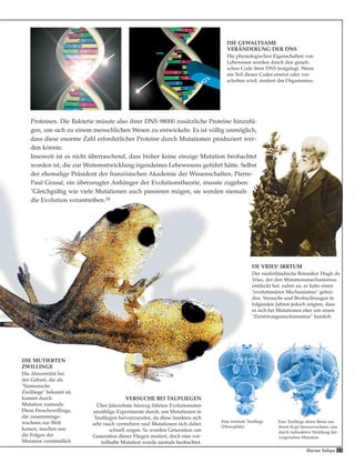 23Harun Yahya
DIE GEWALTSAME
VERÄNDERUNG DER DNS
Die physiologischen Eigenschaften von
Lebewesen werden durch den geneti-
schen Code ihrer DNS festgelegt. Wenn
ein Teil dieses Codes ersetzt oder ver-
schoben wird, mutiert der Organismus.
DIE MUTIERTEN
ZWILLINGE
Die Abnormität bei
der Geburt, die als
"Siamesische
Zwillinge" bekannt ist,
kommt durch
Mutation zustande.
Diese Froschzwillinge,
die zusammenge-
wachsen zur Welt
kamen, machen uns
die Folgen der
Mutation verständlich.
Proteinen. Die Bakterie müsste also ihrer DNS 98000 zusätzliche Proteine hinzufü-
gen, um sich zu einem menschlichen Wesen zu entwickeln. Es ist völlig unmöglich,
dass diese enorme Zahl erforderlicher Proteine durch Mutationen produziert wer-
den könnte.
Insoweit ist es nicht überraschend, dass bisher keine einzige Mutation beobachtet
worden ist, die zur Weiterentwicklung irgendeines Lebewesens geführt hätte. Selbst
der ehemalige Präsident der französischen Akademie der Wissenschaften, Pierre-
Paul Grassé, ein überzeugter Anhänger der Evolutionstheorie, musste zugeben:
"Gleichgültig wie viele Mutationen auch passieren mögen, sie werden niemals
die Evolution vorantreiben.18
VERSUCHE BEI TAUFLIEGEN
Über Jahrzehnte hinweg führten Evolutionisten
unzählige Experimente durch, um Mutationen in
Taufliegen hervorzurufen, da diese Insekten sich
sehr rasch vermehren und Mutationen sich daher
schnell zeigen. So wurden Generation um
Generation dieser Fliegen mutiert, doch eine vor-
teilhafte Mutation wurde niemals beobachtet.
Eine normale Taufliege
(Drosophila).
Eine Taufliege deren Beine aus
ihrem Kopf herauswachsen; eine
durch radioaktive Strahlung her-
vorgerufene Mutation.
DE VRIES' IRRTUM
Der niederländische Botaniker Hugh de
Vries, der den Mutationsmechanismus
entdeckt hat, nahm an, er habe einen
"evolutionären Mechanismus" gefun-
den. Versuche und Beobachtungen in
folgenden Jahren jedoch zeigten, dass
es sich bei Mutationen eher um einen
"Zerstörungsmechanismus" handelt.
 