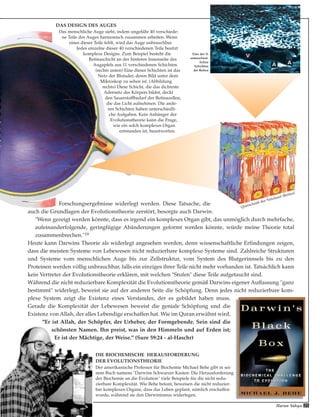 Harun Yahya 25
Forschungsergebnisse widerlegt werden. Diese Tatsache, die
auch die Grundlagen der Evolutionstheorie zerstört, besorgte auch Darwin:
"Wenn gezeigt werden könnte, dass es irgend ein komplexes Organ gibt, das unmöglich durch mehrfache,
aufeinanderfolgende, geringfügige Abänderungen geformt werden könnte, würde meine Theorie total
zusammenbrechen."19
Heute kann Darwins Theorie als widerlegt angesehen werden, denn wissenschaftliche Erfindungen zeigen,
dass die meisten Systeme von Lebewesen nicht reduzierbare komplexe Systeme sind. Zahlreiche Strukturen
und Systeme vom menschlichen Auge bis zur Zellstruktur, vom System des Blutgerinnsels bis zu den
Proteinen werden völlig unbrauchbar, falls ein einziges ihrer Teile nicht mehr vorhanden ist. Tatsächlich kann
kein Vertreter der Evolutionstheorie erklären, mit welchen "Stufen" diese Teile aufgetaucht sind.
Während die nicht reduzierbare Komplexität die Evolutionstheorie gemäß Darwins eigener Auffassung "ganz
bestimmt" widerlegt, beweist sie auf der anderen Seite die Schöpfung. Denn jedes nicht reduzierbare kom-
plexe System zeigt die Existenz eines Verstandes, der es gebildet haben muss.
Gerade die Komplexität der Lebewesen beweist die geniale Schöpfung und die
Existenz von Allah, der alles Lebendige erschaffen hat. Wie im Quran erwähnt wird,
"Er ist Allah, der Schöpfer, der Urheber, der Formgebende. Sein sind die
schönsten Namen. Ihn preist, was in den Himmeln und auf Erden ist;
Er ist der Mächtige, der Weise." (Sure 59:24 - al-Haschr)
DAS DESIGN DES AUGES
Das menschliche Auge sieht, indem ungefähr 40 verschiede-
ne Teile des Auges harmonisch zusammen arbeiten. Wenn
eines dieser Teile fehlt, wird das Auge unbrauchbar.
Jedes einzelne dieser 40 verschiedenen Teile besitzt
komplexe Designs. Zum Beispiel besteht die
Retinaschicht an der hinteren Innenseite des
Augapfels aus 11 verschiedenen Schichten.
(rechts unten) Eine dieser Schichten ist das
Netz der Blutader, deren Bild unter dem
Mikroskop zu sehen ist. (Abbildung
rechts) Diese Schicht, die das dichteste
Adernetz des Körpers bildet, deckt
den Sauerstoffbedarf der Retinazellen,
die das Licht aufnehmen. Die ande-
ren Schichten haben unterschiedli-
che Aufgaben. Kein Anhänger der
Evolutionstheorie kann die Frage,
wie ein solch komplexes Organ
entstanden ist, beantworten.
Eine der 11
unterschied-
lichen
Schichten
der Retina
Querschnitt der Netzhaut (Retina)
DIE BIOCHEMISCHE HERAUSFORDERUNG
DER EVOLUTIONSTHEORIE
Der amerikanische Professor für Biochemie Michael Behe gibt in sei-
nem Buch namens "Darwins Schwarzer Kasten: Die Herausforderung
der Biochemie an die Evolution" viele Beispiele für die nicht redu-
zierbare Komplexität. Wie Behe betont, beweisen die nicht reduzier-
bar komplexen Organe, dass das Leben geplant, nämlich erschaffen
wurde, während sie den Darwinismus widerlegen.
 