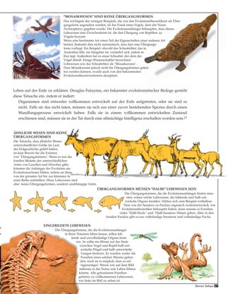 27Harun Yahya
ÄHNLICHE WESEN SIND KEINE
ÜBERGANGSFORMEN
Die Tatsache, dass ähnliche Wesen
unterschiedlicher Größe im Lauf
der Erdgeschichte gelebt haben,
ist kein Beweis für die Existenz
von "Übergangsformen". Wenn es nur die
fossilen Skelette der unterschiedlichen
Arten von Gazellen und Hirschen gäbe,
könnten die Anhänger der Evolution ein
Evolutionsschema bilden, indem sie diese
von der grössten Art bis zur kleinsten in
einer Reihe aufstellten. Diese Lebewesen sind
aber keine Übergangsformen, sondern unabhängige Arten.
ÜBERGANGSFORMEN MÜSSEN "HALBE" LEBEWESEN SEIN
Die Übergangsformen, die die Evolutionsanhänger finden müs-
sten, wären solche Lebewesen, die fehlende und halb ent-
wickelte Organe besäßen. Hätten sich zum Beispiel wirbellose
Tiere wie der Seestern zu Fischen organisch weiterentwickelt, wie
Evolutionstheoretiker behauptet haben, dann müsste es Fossilien
vieler "Halb-Fisch-" und "Halb-Seestern--Wesen geben. Aber in den
fossilen Funden gibt es nur vollständige Seesterne und vollständige Fische.
EINGEBILDETE LEBEWESEN
Die Übergangsformen, die die Evolutionsanhänger
in ihren Träumen leben lassen, sollen feh-
lende und unvollständige Organe besit-
zen. So sollte ein Wesen auf der Stufe
zwischen Vogel und Reptil halb ent-
wickelte Flügel und halb entwickelte
Lungen besitzen. Es wurden weder die
Fossilien eines solchen Wesens gefun-
den, noch ist es möglich, dass so ein
"eigenartiges" Wesen wie auf dem Bild
nebenan in der Natur sein Leben führen
könnte. Alle gefundenen Fossilien
gehören zu vollkommenen Lebewesen,
wie links im Bild zu sehen ist.
"MOSAIKWESEN" SIND KEINE ÜBERGANGSFORMEN
Das wichtigste der wenigen Beispiele, die von den Evolutionstheoretikern als Über-
gangsform angesehen werden, ist das Fossil eines Vogels, dem der Name
Archäopteryx gegeben wurde. Die Evolutionsanhänger behaupten, dass dieses
Lebewesen eine Zwischenform ist, die den Übergang von Reptilien zu
Vögeln beweist.
Wenn eine bestimmte Art einen Teil der Eigenschaften einer anderen Art
besitzt, bedeutet dies nicht automatisch, dass hier eine Übergangs-
form vorliegt. Ein Beispiel: obwohl das Schnabeltier, das in
Australien lebt, ein Säugetier ist, vermehrt sich, indem es
Eier legt. Außerdem hat es einen Schnabel, der dem der
Vögel ähnelt. Einige Wissenschaftler bezeichnen
Lebewesen wie das Schnabeltier als "Mosaikwesen".
Dass Mosaikwesen jedoch nicht für Übergangsformen gehal-
ten werden können, wurde auch von den bekanntesten
Evolutionstheorievertretern akzeptiert.
Leben auf der Erde zu erklären. Douglas Futuyma, ein bekannter evolutionistischer Biologe gesteht
diese Tatsache ein, indem er äußert:
Organismen sind entweder vollkommen entwickelt auf der Erde aufgetreten, oder sie sind es
nicht. Falls sie das nicht taten, müssen sie sich aus einer zuvor bestehenden Spezies durch einen
Wandlungsprozess entwickelt haben. Falls sie in einem vollkommen entwickelten Zustand
erschienen sind, müssen sie in der Tat durch eine allmächtige Intelligenz erschaffen worden sein.21
 