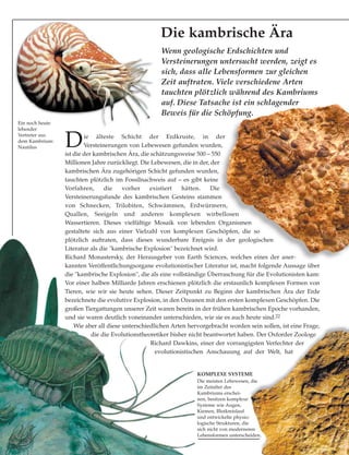 Die kambrische Ära
KOMPLEXE SYSTEME
Die meisten Lebewesen, die
im Zeitalter des
Kambriums erschei-
nen, besitzen komplexe
Systeme wie Augen,
Kiemen, Blutkreislauf
und entwickelte physio-
logische Strukturen, die
sich nicht von moderneren
Lebensformen unterscheiden.
Die älteste Schicht der Erdkruste, in der
Versteinerungen von Lebewesen gefunden wurden,
ist die der kambrischen Ära, die schätzungsweise 500 – 550
Millionen Jahre zurückliegt. Die Lebewesen, die in der, der
kambrischen Ära zugehörigen Schicht gefunden wurden,
tauchten plötzlich im Fossilnachweis auf – es gibt keine
Vorfahren, die vorher existiert hätten. Die
Versteinerungsfunde des kambrischen Gesteins stammen
von Schnecken, Trilobiten, Schwämmen, Erdwürmern,
Quallen, Seeigeln und anderen komplexen wirbellosen
Wassertieren. Dieses vielfältige Mosaik von lebenden Organismen
gestaltete sich aus einer Vielzahl von komplexen Geschöpfen, die so
plötzlich auftraten, dass dieses wunderbare Ereignis in der geologischen
Literatur als die "kambrische Explosion" bezeichnet wird.
Richard Monastersky, der Herausgeber von Earth Sciences, welches eines der aner-
kannten Veröffentlichungsorgane evolutionistischer Literatur ist, macht folgende Aussage über
die "kambrische Explosion", die als eine vollständige Überraschung für die Evolutionisten kam:
Vor einer halben Milliarde Jahren erschienen plötzlich die erstaunlich komplexen Formen von
Tieren, wie wir sie heute sehen. Dieser Zeitpunkt zu Beginn der kambrischen Ära der Erde
bezeichnete die evolutive Explosion, in den Ozeanen mit den ersten komplexen Geschöpfen. Die
großen Tiergattungen unserer Zeit waren bereits in der frühen kambrischen Epoche vorhanden,
und sie waren deutlich voneinander unterschieden, wie sie es auch heute sind.22
Wie aber all diese unterschiedlichen Arten hervorgebracht worden sein sollen, ist eine Frage,
die die Evolutionstheoretiker bisher nicht beantwortet haben. Der Oxforder Zoologe
Richard Dawkins, einer der vorrangigsten Verfechter der
evolutionistischen Anschauung auf der Welt, hat
Ein noch heute
lebender
Vertreter aus
dem Kambrium:
Nautilus
Wenn geologische Erdschichten und
Versteinerungen untersucht werden, zeigt es
sich, dass alle Lebensformen zur gleichen
Zeit auftraten. Viele verschiedene Arten
tauchten plötzlich während des Kambriums
auf. Diese Tatsache ist ein schlagender
Beweis für die Schöpfung.
 