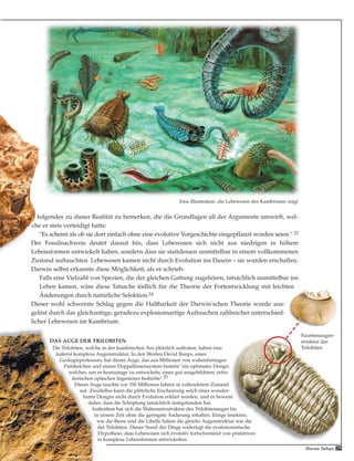 29
folgendes zu dieser Realität zu bemerken‚ die die Grundlagen all der Argumente umwirft, wel-
che er stets verteidigt hatte:
"Es scheint als ob sie dort einfach ohne eine evolutive Vorgeschichte eingepflanzt worden seien." 23
Der Fossilnachweis deutet darauf hin, dass Lebewesen sich nicht aus niedrigen in höhere
Lebensformen entwickelt haben, sondern dass sie stattdessen unmittelbar in einem vollkommenen
Zustand auftauchten. Lebewesen kamen nicht durch Evolution ins Dasein – sie wurden erschaffen.
Darwin selbst erkannte diese Möglichkeit, als er schrieb:
Falls eine Vielzahl von Spezien, die der gleichen Gattung zugehören, tatsächlich unmittelbar ins
Leben kamen, wäre diese Tatsache tödlich für die Theorie der Fortentwicklung mit leichten
Änderungen durch natürliche Selektion.24
Dieser wohl schwerste Schlag gegen die Haltbarkeit der Darwin'schen Theorie wurde aus-
gelöst durch das gleichzeitige, geradezu explosionsartige Auftauchen zahlreicher unterschied-
licher Lebewesen im Kambrium.
Facettenaugen-
struktur des
Trilobiten
DAS AUGE DER TRILOBITEN
Die Trilobiten, welche in der kambrischen Ära plötzlich auftraten, haben eine
äußerst komplexe Augenstruktur. In den Worten David Raups, eines
Geologieprofessors, hat dieses Auge, das aus Millionen von wabenförmigen
Partikelchen und einem Doppellinsensystem besteht "ein optimales Design,
welches, um es heutzutage zu entwickeln, eines gut ausgebildeten, erfin-
derischen optischen Ingenieurs bedürfte".25
Dieses Auge tauchte vor 550 Millionen Jahren in vollendetem Zustand
auf. Zweifellos kann die plötzliche Erscheinung solch eines wunder-
baren Designs nicht durch Evolution erklärt werden, und es beweist
daher, dass die Schöpfung tatsächlich stattgefunden hat.
Außerdem hat sich die Wabennetzstruktur des Trilobitenauges bis
in unsere Zeit ohne die geringste Änderung erhalten. Einige Insekten,
wie die Biene und die Libelle haben die gleiche Augenstruktur wie die
der Trilobiten. Dieser Stand der Dinge widerlegt die evolutionistische
Hypothese, dass Lebewesen sich evolutiv fortschreitend von primitiven
in komplexe Lebensformen entwickelten.
Eine Illustration, die Lebewesen des Kambriums zeigt
Harun Yahya
 
