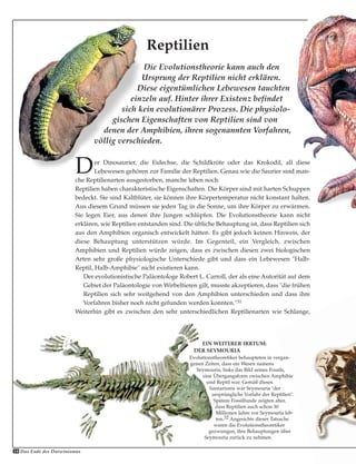 Die Evolutionstheorie kann auch den
Ursprung der Reptilien nicht erklären.
Diese eigentümlichen Lebewesen tauchten
einzeln auf. Hinter ihrer Existenz befindet
sich kein evolutionärer Prozess. Die physiolo-
gischen Eigenschaften von Reptilien sind von
denen der Amphibien, ihren sogenannten Vorfahren,
völlig verschieden.
Reptilien
EIN WEITERER IRRTUM:
DER SEYMOURIA
Evolutionstheoretiker behaupteten in vergan-
genen Zeiten, dass ein Wesen namens
Seymouria, links das Bild seines Fossils,
eine Übergangsform zwischen Amphibie
und Reptil war. Gemäß dieses
Szenariums war Seymouria "der
ursprüngliche Vorfahr der Reptilien".
Spätere Fossilfunde zeigten aber,
dass Reptilien auch schon 30
Millionen Jahre vor Seymouria leb-
ten.32 Angesichts dieser Tatsache
waren die Evolutionstheoretiker
gezwungen, ihre Behauptungen über
Seymouria zurück zu nehmen.
Das Ende des Darwinismus34
Der Dinosaurier, die Eidechse, die Schildkröte oder das Krokodil, all diese
Lebewesen gehören zur Familie der Reptilien. Genau wie die Saurier sind man-
che Reptilienarten ausgestorben, manche leben noch.
Reptilien haben charakteristische Eigenschaften. Die Körper sind mit harten Schuppen
bedeckt. Sie sind Kaltblüter, sie können ihre Körpertemperatur nicht konstant halten.
Aus diesem Grund müssen sie jeden Tag in die Sonne, um ihre Körper zu erwärmen.
Sie legen Eier, aus denen ihre Jungen schlüpfen. Die Evolutionstheorie kann nicht
erklären, wie Reptilien entstanden sind. Die übliche Behauptung ist, dass Reptilien sich
aus den Amphibien organisch entwickelt hätten. Es gibt jedoch keinen Hinweis, der
diese Behauptung unterstützen würde. Im Gegenteil, ein Vergleich, zwischen
Amphibien und Reptilien würde zeigen, dass es zwischen diesen zwei biologischen
Arten sehr große physiologische Unterschiede gibt und dass ein Lebewesen "Halb-
Reptil, Halb-Amphibie" nicht existieren kann.
Der evolutionistische Paläontologe Robert L. Carroll, der als eine Autorität auf dem
Gebiet der Paläontologie von Wirbeltieren gilt, musste akzeptieren, dass "die frühen
Reptilien sich sehr weitgehend von den Amphibien unterschieden und dass ihre
Vorfahren bisher noch nicht gefunden werden konnten."31
Weiterhin gibt es zwischen den sehr unterschiedlichen Reptilienarten wie Schlange,
 
