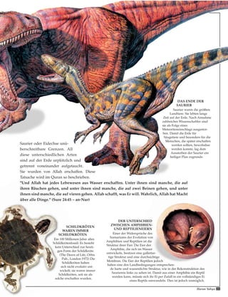 Harun Yahya 35
Saurier oder Eidechse unü-
berschreitbare Grenzen. All
diese unterschiedlichen Arten
sind auf der Erde urplötzlich und
getrennt voneinander aufgetaucht.
Sie wurden von Allah erschaffen. Diese
Tatsache wird im Quran so beschrieben.
"Und Allah hat jedes Lebewesen aus Wasser erschaffen. Unter ihnen sind manche, die auf
ihren Bäuchen gehen, und unter ihnen sind manche, die auf zwei Beinen gehen, und unter
ihnen sind manche, die auf vieren gehen. Allah schafft, was Er will. Wahrlich, Allah hat Macht
über alle Dinge." (Sure 24:45 – an-Nur)
DAS ENDE DER
SAURIER
Saurier waren die größten
Landtiere. Sie lebten lange
Zeit auf der Erde. Nach Annahme
zahlreicher Wissenschaftler sind
sie als Folge eines
Meteoriteneinschlags ausgestor-
ben. Damit die Erde für
Säugetiere und besonders für die
Menschen, die später erschaffen
werden sollten, bewohnbar
werden konnte, lag dem
Aussterben der Saurier ein
heiliger Plan zugrunde.
DER UNTERSCHIED
ZWISCHEN AMPHIBIEN-
UND REPTILIENEIERN
Einer der Widersprüche des
Szenariums der Evolution von
Amphibien und Reptilien ist die
Struktur ihrer Eier. Die Eier der
Amphibie, die sich im Wasser
entwickeln, besitzen eine gallertar-
tige Struktur und eine durchsichtige
Membran. Die Eier der Reptilien jedoch
haben eine den Landbedingungen entsprechen-
de harte und wasserdichte Struktur, wie in der Rekonstruktion des
Sauriereis links zu sehen ist. Damit aus einer Amphibie ein Reptil
werden kann, müsste sich ihr Ei per Zufall in ein vollständiges Ei
eines Reptils umwandeln. Dies ist jedoch unmöglich.
SCHILDKRÖTEN
WAREN IMMER
SCHILDKRÖTEN
Ein 100 Millionen Jahre altes
Schildkrötenfossil: Es besteht
kein Unterschied zur heuti-
gen Form der Schildkröte.
(The Dawn of Life, Orbis
Pub., London 1972) Die
Schildkröten haben
sich nicht evolutiv ent-
wickelt; sie waren immer
Schildkröten, seit sie als
solche erschaffen wurden.
 