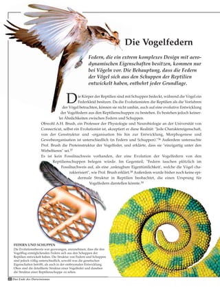 40 Das Ende des Darwinismus
Die Vogelfedern
Federn, die ein extrem komplexes Design mit aero-
dynamischen Eigenschaften besitzen, kommen nur
bei Vögeln vor. Die Behauptung, dass die Federn
der Vögel sich aus den Schuppen der Reptilien
entwickelt haben, entbehrt jeder Grundlage.
FEDERN UND SCHUPPEN
Die Evolutionstheorie war gezwungen, anzunehmen, dass die den
Vogelflug ermöglichenden Federn sich aus den Schuppen der
Reptilien entwickelt haben. Die Struktur von Federn und Schuppen
sind jedoch völlig unterschiedlich, sowohl was die genetischen
Eigenschaften betrifft, als auch in der embryonalen Entwicklung.
Oben sind die detaillierte Struktur einer Vogelfeder und daneben
die Struktur einer Reptilienschuppe zu sehen.
Die Körper der Reptilien sind mit Schuppen bedeckt, während die Vögel ein
Federkleid besitzen. Da die Evolutionisten die Reptilien als die Vorfahren
der Vögel betrachten, können sie nicht umhin, auch auf eine evolutive Entwicklung
der Vogelfedern aus den Reptilienschuppen zu bestehen. Es bestehen jedoch keiner-
lei Ähnlichkeiten zwischen Federn und Schuppen.
Obwohl A.H. Brush, ein Professor der Physiologie und Neurobiologie an der Universität von
Connecticut, selbst ein Evolutionist ist, akzeptiert er diese Realität: "Jede Charaktereigenschaft,
von der Genstruktur und -organisation bis hin zur Entwicklung, Morphogenese und
Gewebeorganisation ist unterschiedlich (in Federn und Schuppen)."36 Außerdem untersuchte
Prof. Brush die Proteinstruktur der Vogelfeder, und erklärte, dass sie "einzigartig unter den
Wirbeltieren" sei.37
Es ist kein Fossilnachweis vorhanden, der eine Evolution der Vogelfedern von den
Reptilienschuppen belegen würde. Im Gegenteil, "Federn tauchen plötzlich im
Fossilnachweis auf, als eine ‚unleugbare Eigentümlichkeit', welche die Vögel cha-
rakterisiert", wie Prof. Brush erklärt.38 Außerdem wurde bisher noch keine epi-
dermale Struktur in Reptilien beobachtet, die einen Ursprung für
Vogelfedern darstellen könnte.39
 