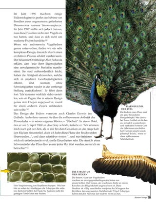 Im Jahr 1996 machten einige
Paläontologen ein großes Aufhebens von
Fossilien eines sogenannten gefiederten
Dinosauriers namens Sinosauropteryx.
Im Jahr 1997 stellte sich jedoch heraus,
dass diese Fossilien nichts mit Vögeln zu
tun hatten, und dass es sich nicht um
moderne Federn handelte.40
Wenn wir andererseits Vogelfedern
genau untersuchen, finden wir ein sehr
komplexes Design, das nicht durch einen
evolutiven Prozess erklärt werden kann.
Der bekannte Ornithologe Alan Feduccia
erklärt, dass "jede ihrer Eigenschaften
eine aerodynamische Funktion manife-
stiert. Sie sind außerordentlich leicht,
haben die Fähigkeit abzustehen, welche
sich in niederen Geschwindigkeiten
erhöht, und können ohne
Schwierigkeiten wieder in die vorherige
Stellung zurückkehren". Er fährt dann
fort: "Ich kann mir wirklich nicht vorstel-
len, wie ein Organ, das in seinem Design
genau dem Fliegen angepasst ist, zuerst
für einen anderen Zweck entstanden
sein sollte."41
Das Design der Federn versetzte auch Charles Darwin ins
Grübeln. Außerdem verursachte ihm die vollkommene Ästhetik der
Pfauenfeder – in seinen eigenen Worten – "Übelkeit". In einem Brief,
den er am 3. April 1860 an Asa Gray schrieb, äußerte er: "Ich erinnere
mich noch gut der Zeit, als es mir bei dem Gedanken an das Auge kalt
den Rücken hinunterlief, doch ich habe diese Phase der Beschwerden
überwunden...", und dann schrieb er weiter: "...und nun irritieren
mich oft unbedeutende strukturelle Einzelheiten sehr. Die Ansicht einer
Schwanzfeder des Pfaus lässt es mir jedes Mal übel werden, wenn ich sie
betrachte!"42
Eine Vergrösserung von Reptilienschuppen. Wie hier
klar zu sehen ist, überlappen die Schuppen die ande-
ren, härteren Stellen der Haut. Sie besitzen nicht die
geringste Ähnlichkeit mit Federn.
DARWIN UND
DER PFAU
Die Federn eines Pfaus sind
ein ganz besonderes
Designbeispiel. Wer denkt
bei ihrem Anblick nicht dar-
an, in welch wunderbaren
und perfekten Formen Gott
die Lebewesen erschaffen
hat! Darwin jedoch wurde
jedesmal "krank", wenn er
diese vollkommene
Schönheit sah.
DIE STRUKTUR
DER FEDERN
Die feinen Haare der Vogelfedern
wachsen an zwei gegenüberliegenden Seiten aus
einem hohlen Stiel heraus, der wiederum direkt an einem
Knochen des Flügelskeletts angewachsen ist. Diese
Struktur ist völlig verschieden von jener der Schuppen der
Reptilien, den sogenannten Vorfahren der Vögel. Schuppen
haben mit den Knochen des Skeletts nichts zu tun.
41Harun Yahya
 