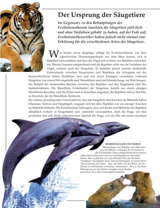 Im Gegensatz zu den Behauptungen der
Evolutionstheorie tauchten die Säugetiere plötzlich
und ohne Vorfahren gehabt zu haben, auf der Erde auf.
Evolutionstheoretiker haben jedoch nicht einmal eine
Erklärung für die verschiedenen Arten der Säugetiere.
Der Ursprung der Säugetiere
Wie bereits zuvor dargelegt, schlägt die Evolutionstheorie vor, dass
irgendwelche Phantasiegeschöpfe aus dem Meer kamen, sich in
Reptilien verwandelten und dass die Vögel sich evolutiv aus Reptilien entwickel-
ten. Diesem Szenario entsprechend sind die Reptilien nicht nur die Vorfahren der
Vögel, sondern auch der Säugetiere. Es bestehen jedoch enorme strukturelle
Unterschiede zwischen Säugetieren und Reptilien, die Schuppen auf der
Körperoberfläche haben, Kaltblüter sind und sich durch Eierlegen vermehren, während
Säugetiere von einem Fell eingehüllt sind, Warmblüter sind und lebende Junge zur Welt bringen.
Ein Beispiel der strukturellen Barriere zwischen den Reptilien und den Säugetieren sind ihre
Kieferstrukturen. Die Mandibula (Unterkiefer) der Säugetiere besteht aus einem einzigen
Mandibular-Knochen, und die Zähne sind in denselben eingesetzt. Bei Reptilien sind es drei klei-
ne Knochen, die die Mandibula flankieren.
Ein anderer grundlegender Unterschied ist, dass alle Säugetiere drei Knochen im Mittelohr haben
(Hammer, Amboss und Steigbügel), wogegen sich bei allen Reptilien nur ein einziger Knochen
im Mittelohr befindet. Die Evolutionisten behaupten, dass sich Kiefer und Mittelohr der Reptilien
allmählich evolutiv in Säugerkiefer und –mittelohr verwandelten, doch die Frage, wie dies
geschehen sein soll, bleibt unbeantwortet. Speziell die Frage, wie ein Ohr mit einem einzelnen
MEERESSÄUGER UND BÄREN
Meeressäuger wie Delphine und Wale brin-
gen die hilflosen Anhänger der Evolution in
die Zwickmühle. Denn entsprechend der Evolution
sollen diese Lebewesen sich aus Landsäugetieren entwickelt
haben, aber es gibt kein an Land lebendes Tier, das für ihren
"Vorfahren" durchgehen kann. Darwin behauptete in seinem Buch
"Der Ursprung der Arten ", dass "die Wale von den Bären, die im
Wasser zu schwimmen versuchten, abstammen". Aber er hat diese
Behauptung aus der letzten Ausgabe seines Buches
gestrichen, da er ihre Unsinnigkeit bemerkte.
 
