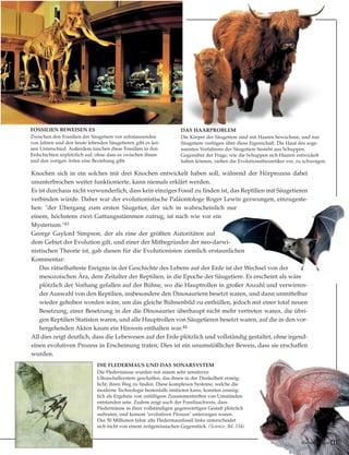 Harun Yahya 43
Knochen sich in ein solches mit drei Knochen entwickelt haben soll, während der Hörprozess dabei
ununterbrochen weiter funktionierte, kann niemals erklärt werden.
Es ist durchaus nicht verwunderlich, dass kein einziges Fossil zu finden ist, das Reptilien mit Säugetieren
verbinden würde. Daher war der evolutionistische Paläontologe Roger Lewin gezwungen, einzugeste-
hen: "der Übergang zum ersten Säugetier, der sich in wahrscheinlich nur
einem, höchstens zwei Gattungsstämmen zutrug, ist nach wie vor ein
Mysterium."43
George Gaylord Simpson, der als eine der größten Autoritäten auf
dem Gebiet der Evolution gilt, und einer der Mitbegründer der neo-darwi-
nistischen Theorie ist, gab diesen für die Evolutionisten ziemlich erstaunlichen
Kommentar:
Das rätselhafteste Ereignis in der Geschichte des Lebens auf der Erde ist der Wechsel von der
mesozoischen Ära, dem Zeitalter der Reptilien, in die Epoche der Säugetiere. Es erscheint als wäre
plötzlich der Vorhang gefallen auf der Bühne, wo die Hauptrollen in großer Anzahl und verwirren-
der Auswahl von den Reptilien, insbesondere den Dinosauriern besetzt waren, und dann unmittelbar
wieder gehoben worden wäre, um das gleiche Bühnenbild zu enthüllen, jedoch mit einer total neuen
Besetzung, einer Besetzung in der die Dinosaurier überhaupt nicht mehr vertreten waren, die übri-
gen Reptilien Statisten waren, und alle Hauptrollen von Säugetieren besetzt waren, auf die in den vor-
hergehenden Akten kaum ein Hinweis enthalten war.44
All dies zeigt deutlich, dass die Lebewesen auf der Erde plötzlich und vollständig gestaltet, ohne irgend-
einen evolutiven Prozess in Erscheinung traten; Dies ist ein unumstößlicher Beweis, dass sie erschaffen
wurden.
DIE FLEDERMAUS UND DAS SONARSYSTEM
Die Fledermäuse wurden mit einem sehr sensitiven
Ultraschallsystem geschaffen, das ihnen in der Dunkelheit ermög-
licht, ihren Weg zu finden. Diese komplexen Systeme, welche die
moderne Technologie bestenfalls imitieren kann, konnten unmög-
lich als Ergebnis von zufälligem Zusammentreffen von Umständen
entstanden sein. Zudem zeigt auch der Fossilnachweis, dass
Fledermäuse in ihrer vollständigen gegenwärtigen Gestalt plötzlich
auftraten, und keinem "evolutiven Prozess" unterzogen waren.
Das 50 Millionen Jahre alte Fledermausfossil links unterscheidet
sich nicht von einem zeitgenössischen Gegenstück. (Science, Bd. 154)
FOSSILIEN BEWEISEN ES
Zwischen den Fossilien der Säugetiere vor zehntausenden
von Jahren und den heute lebenden Säugetieren gibt es kei-
nen Unterschied. Außerdem tauchen diese Fossilien in den
Erdschichten urplötzlich auf, ohne dass es zwischen ihnen
und den vorigen Arten eine Beziehung gibt.
DAS HAARPROBLEM
Die Körper der Säugetiere sind mit Haaren bewachsen, und nur
Säugetiere verfügen über diese Eigenschaft. Die Haut des soge-
nannten Vorfahrens der Säugetiere besteht aus Schuppen.
Gegenüber der Frage, wie die Schuppen sich Haaren entwickelt
haben können, ziehen die Evolutionstheoretiker vor, zu schweigen.
 